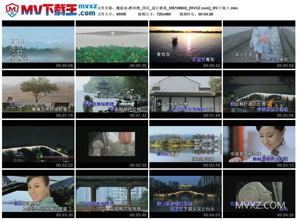 魏新雨-醉西楼_国语_流行歌曲_MB108602